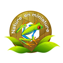 Illustration vectorielle - Nature en miniature